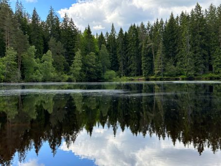 Lago cristalino en la Selva Negra.Preciosa panorámica de un lago en medio del bosque en La Selva Negra en Alemania