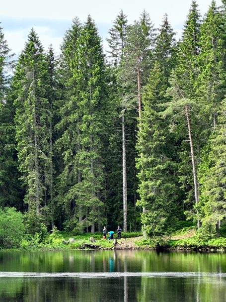 Lago en la Selva Negra.Personas a orillas del lago en la Selva Negra en Alemania