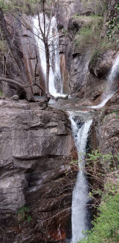 senderista en los bosques de la Selva Negra