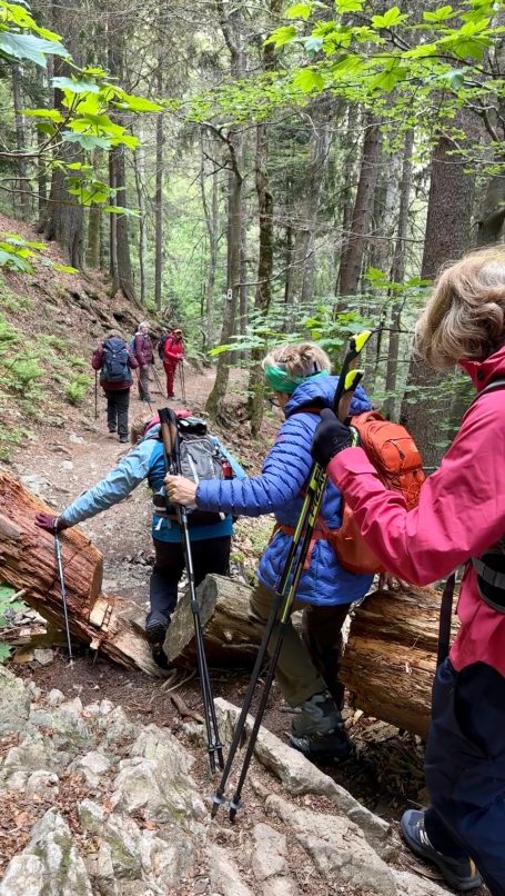 Senderismo en la Selva Negra.Personas superando un tronco caído en el bosque de la Selva Negra en Alemania