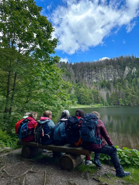 Lago Feldsee.Grupo de personas sentadas en un banco a orillas del lago Feldsee en la Selva Negra