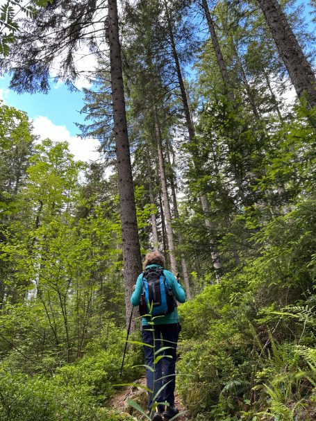 Bosques de la Selva Negra.Senderista caminando por un sendero en los bosques de La Selva Negra en Alemania